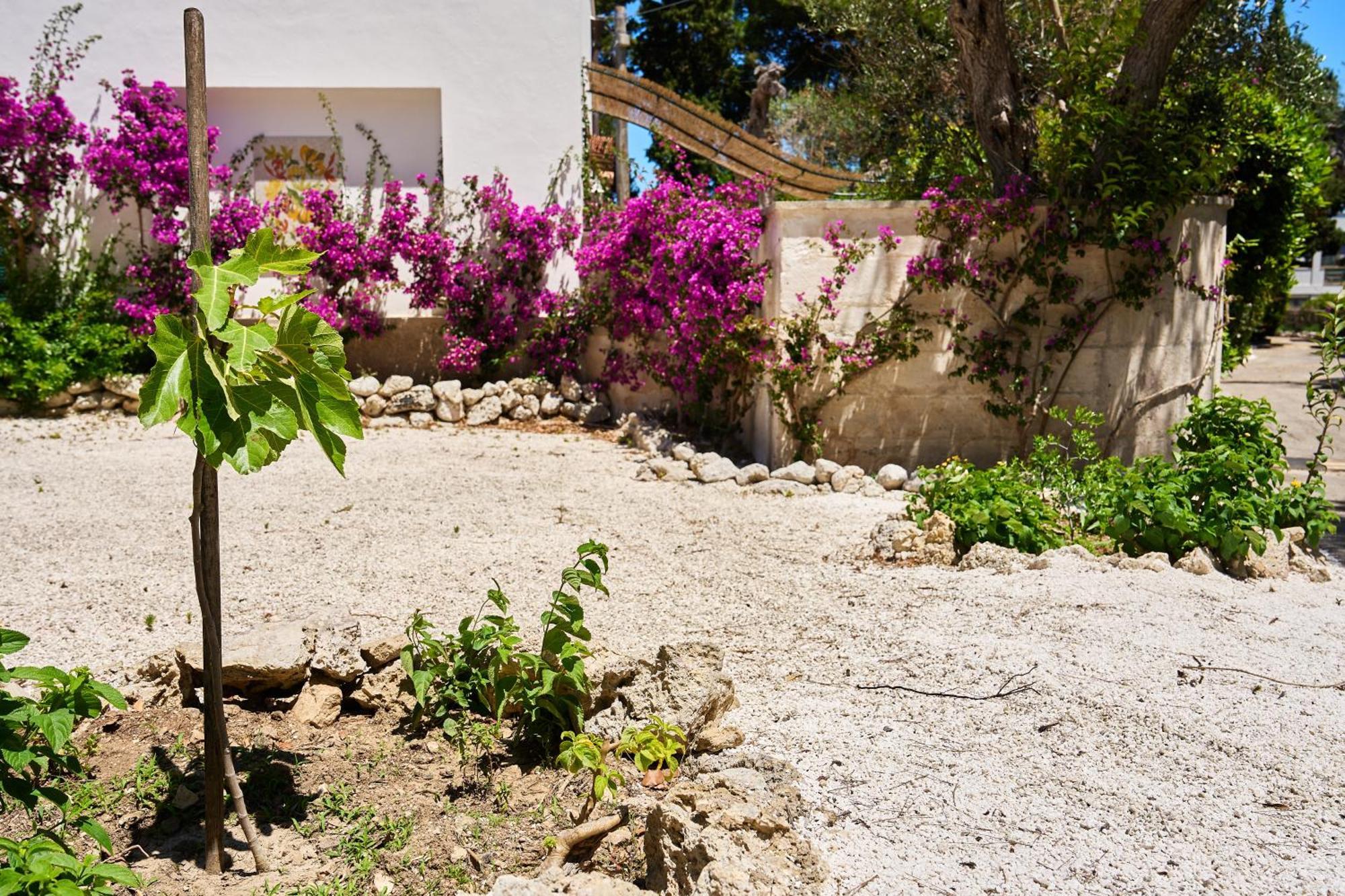Tenuta Belvedere Otranto Eksteriør billede