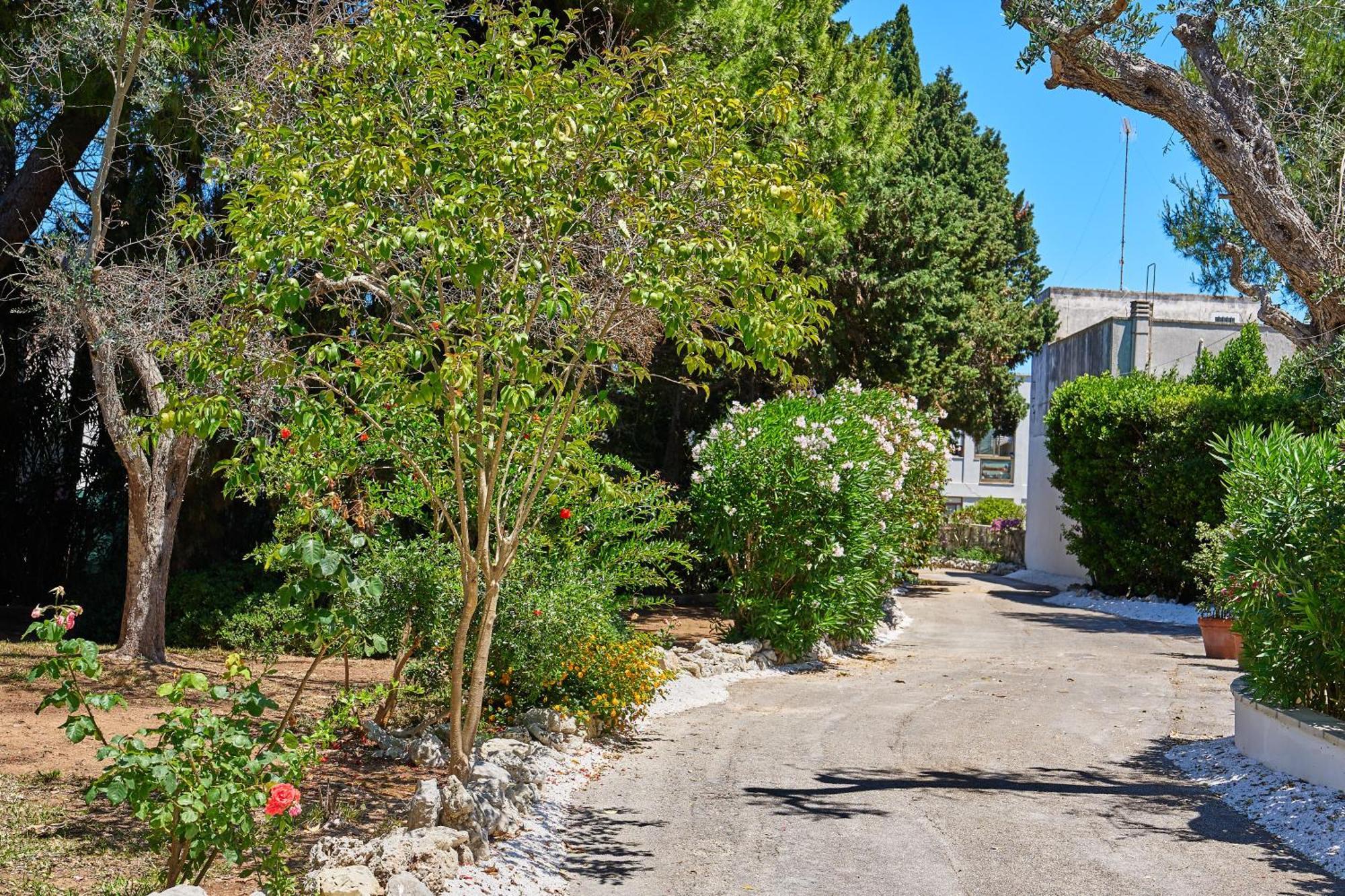 Tenuta Belvedere Otranto Eksteriør billede